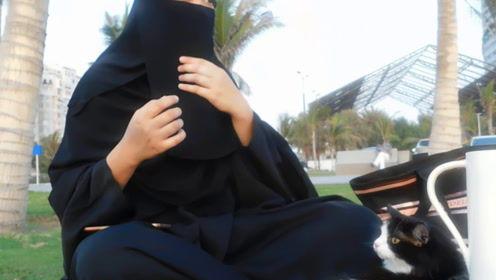 娱乐吃瓜君 网红是谁呀